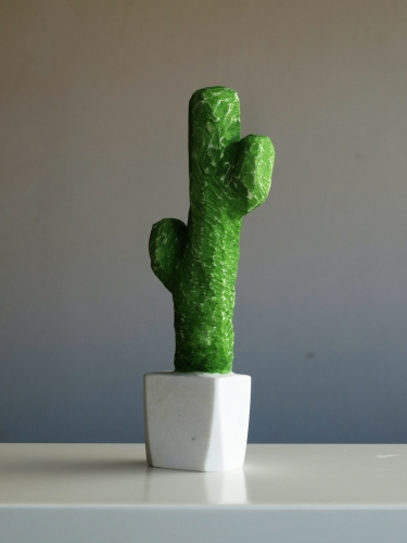 Kaktus VI
