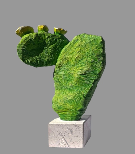 Kaktus