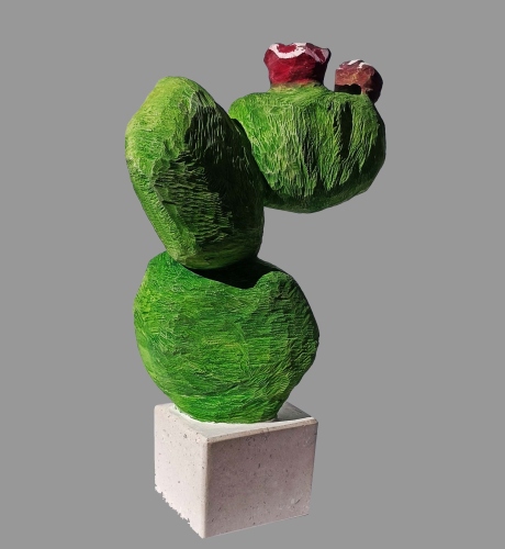 Kaktus
