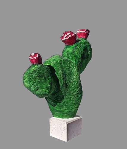 Kaktus